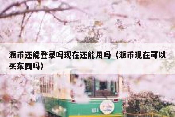 派币还能登录吗现在还能用吗（派币现在可以买东西吗） 第1张