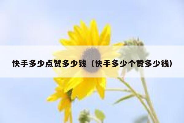 快手多少点赞多少钱（快手多少个赞多少钱） 第1张