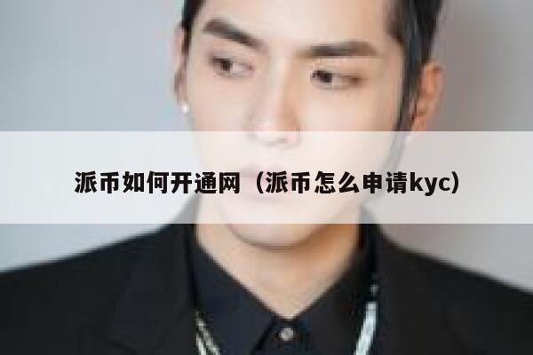 派币如何开通网(派币怎么申请kyc) 第1张 派币如何开通网(派币怎么申请kyc) 第1张