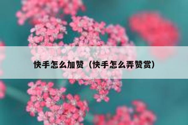 快手怎么加赞（快手怎么弄赞赏） 第1张