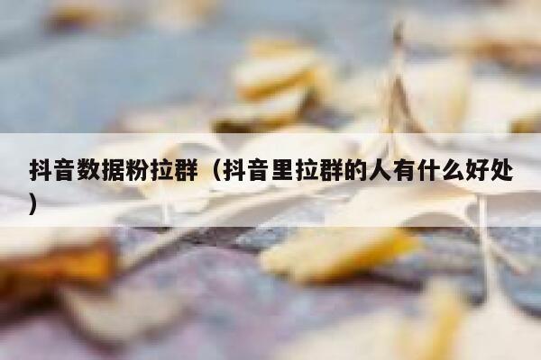 抖音数据粉拉群（抖音里拉群的人有什么好处） 第1张