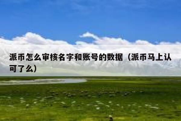 派币怎么审核名字和账号的数据(派币马上认可了么) 第1张 派币怎么审核名字和账号的数据(派币马上认可了么) 第1张