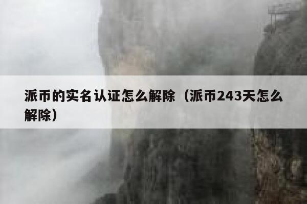 派币的实名认证怎么解除（派币243天怎么解除） 第1张