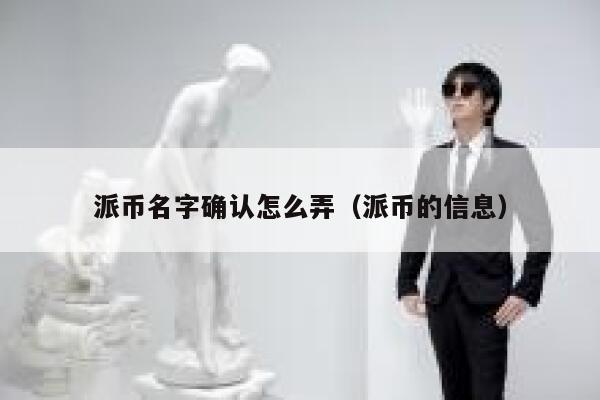 派币名字确认怎么弄（派币的信息） 第1张