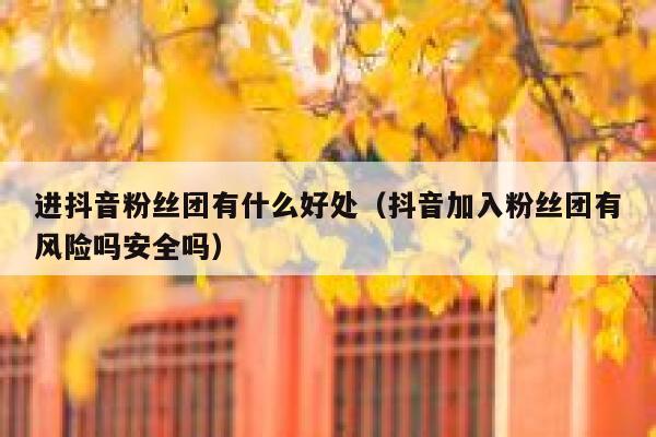 进抖音粉丝团有什么好处(抖音加入粉丝团有风险吗安全吗) 第1张 进抖音粉丝团有什么好处(抖音加入粉丝团有风险吗安全吗) 第1张