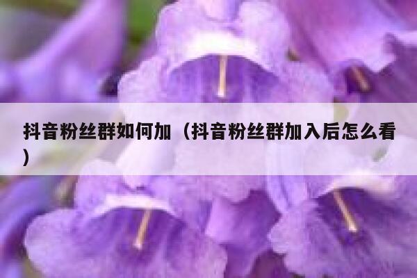 抖音粉丝群如何加(抖音粉丝群加入后怎么看) 第1张 抖音粉丝群如何加(抖音粉丝群加入后怎么看) 第1张