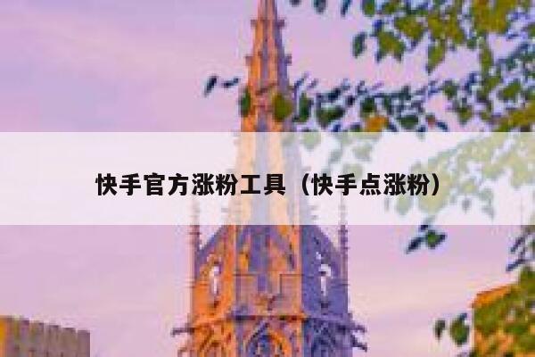 快手官方涨粉工具（快手点涨粉） 第1张