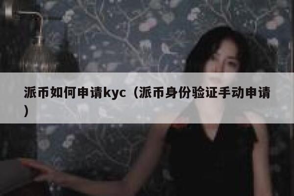派币如何申请kyc（派币身份验证手动申请） 第1张