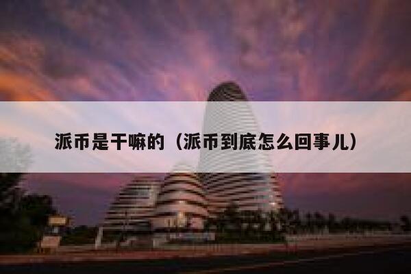 派币是干嘛的（派币到底怎么回事儿） 第1张