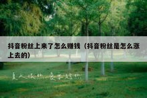抖音粉丝上来了怎么赚钱（抖音粉丝是怎么涨上去的） 第1张