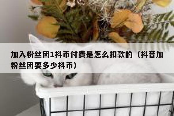加入粉丝团1抖币付费是怎么扣款的（抖音加粉丝团要多少抖币） 第1张