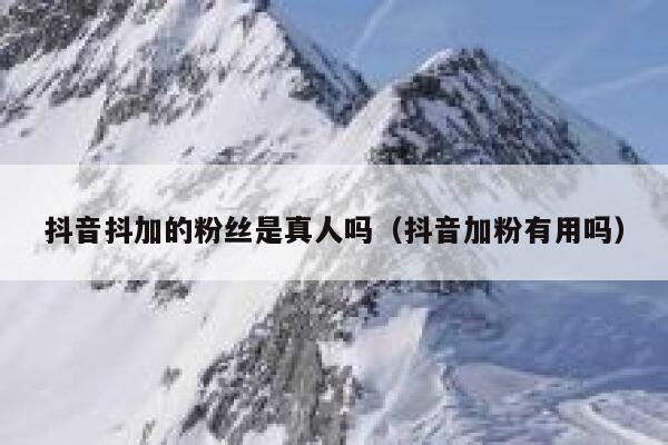 抖音抖加的粉丝是真人吗（抖音加粉有用吗） 第1张