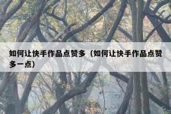 如何让快手作品点赞多（如何让快手作品点赞多一点） 第1张