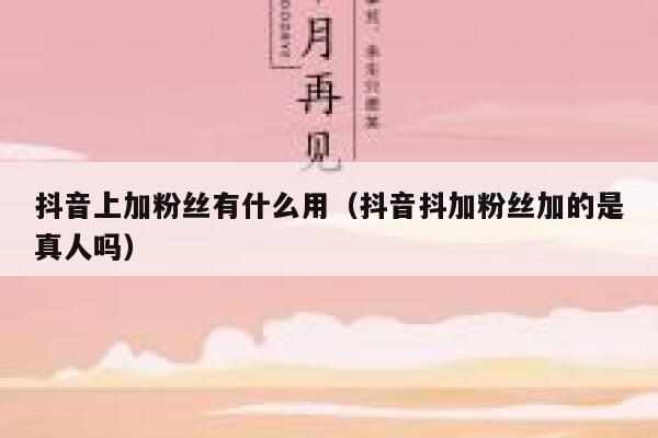 抖音上加粉丝有什么用(抖音抖加粉丝加的是真人吗) 第1张 抖音上加粉丝有什么用(抖音抖加粉丝加的是真人吗) 第1张