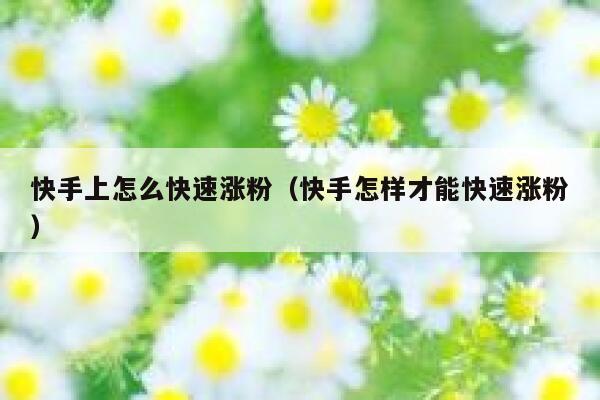 快手上怎么快速涨粉（快手怎样才能快速涨粉） 第1张