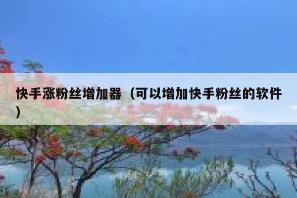 快手涨粉丝增加器（可以增加快手粉丝的软件） 第1张