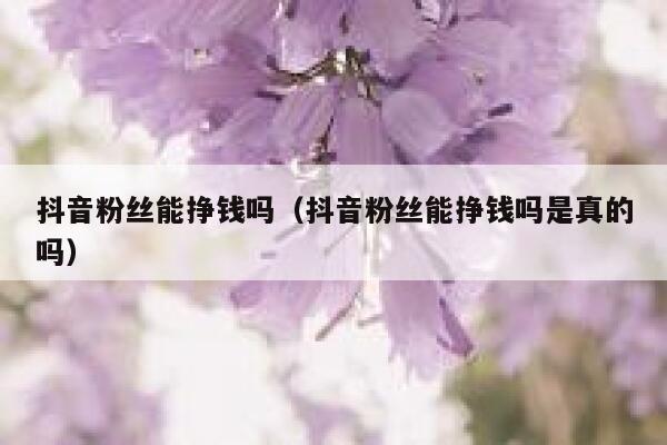 抖音粉丝能挣钱吗(抖音粉丝能挣钱吗是真的吗) 第1张 抖音粉丝能挣钱吗(抖音粉丝能挣钱吗是真的吗) 第1张