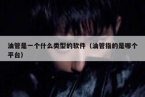 油管是一个什么类型的软件(油管指的是哪个平台) 第1张 油管是一个什么类型的软件(油管指的是哪个平台) 第1张