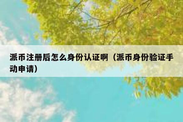 派币注册后怎么身份认证啊（派币身份验证手动申请） 第1张