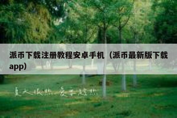 派币下载注册教程安卓手机（派币最新版下载app） 第1张