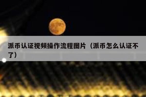 派币认证视频操作流程图片（派币怎么认证不了） 第1张