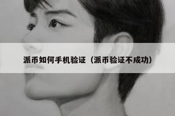 派币如何手机验证（派币验证不成功） 第1张
