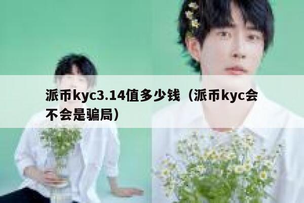 派币kyc3.14值多少钱（派币kyc会不会是骗局） 第1张