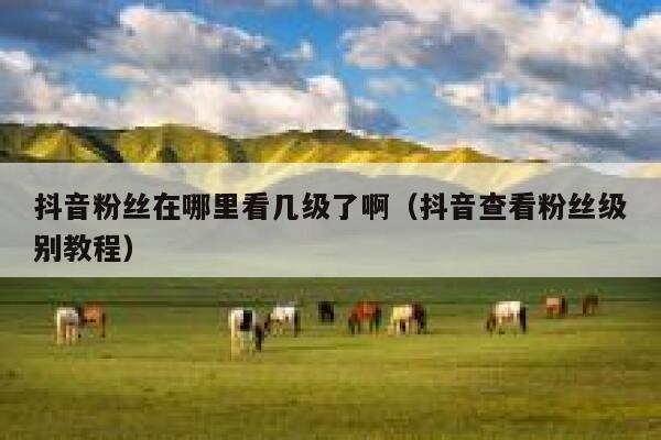 抖音粉丝在哪里看几级了啊（抖音查看粉丝级别教程） 第1张