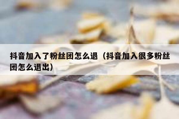 抖音加入了粉丝团怎么退(抖音加入很多粉丝团怎么退出) 第1张 抖音加入了粉丝团怎么退(抖音加入很多粉丝团怎么退出) 第1张
