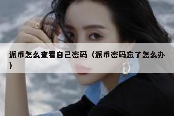派币怎么查看自己密码（派币密码忘了怎么办） 第1张