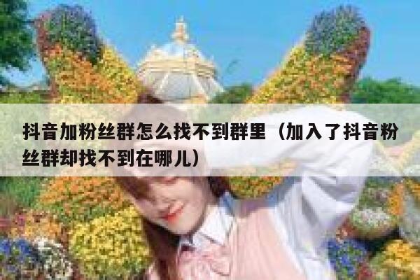 抖音加粉丝群怎么找不到群里(加入了抖音粉丝群却找不到在哪儿) 第1张 抖音加粉丝群怎么找不到群里(加入了抖音粉丝群却找不到在哪儿) 第1张