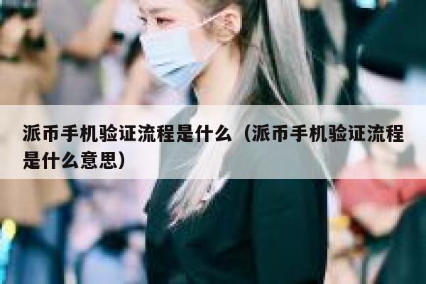 派币手机验证流程是什么（派币手机验证流程是什么意思） 第1张