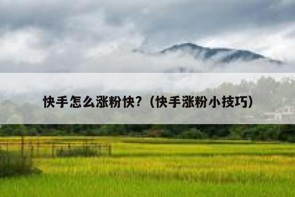 快手怎么涨粉快?（快手涨粉小技巧） 第1张