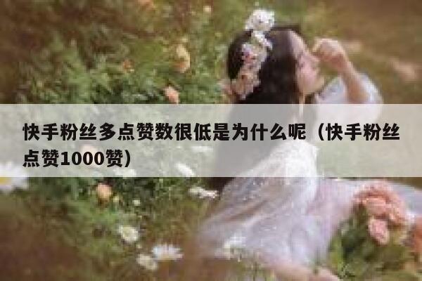 快手粉丝多点赞数很低是为什么呢(快手粉丝点赞1000赞) 第1张 快手粉丝多点赞数很低是为什么呢(快手粉丝点赞1000赞) 第1张