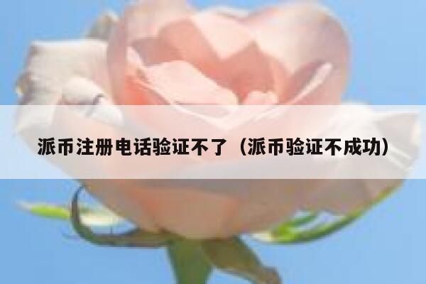 派币注册电话验证不了（派币验证不成功） 第1张