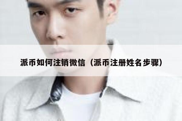 派币如何注销微信（派币注册姓名步骤） 第1张