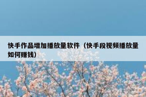 快手作品增加播放量软件（快手段视频播放量如何赚钱） 第1张