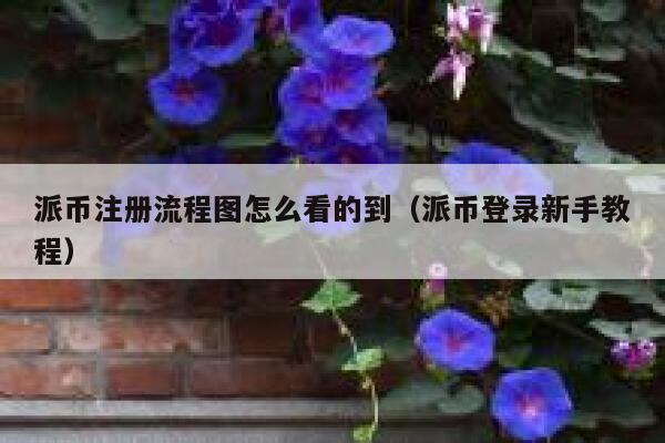 派币注册流程图怎么看的到（派币登录新手教程） 第1张