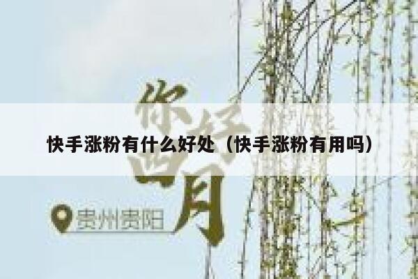 快手涨粉有什么好处（快手涨粉有用吗） 第1张