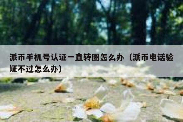 派币手机号认证一直转圈怎么办（派币电话验证不过怎么办） 第1张