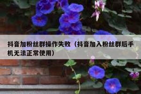 抖音加粉丝群操作失败（抖音加入粉丝群后手机无法正常使用） 第1张