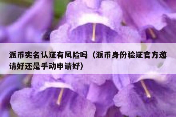 派币实名认证有风险吗(派币身份验证官方邀请好还是手动申请好) 第1张 派币实名认证有风险吗(派币身份验证官方邀请好还是手动申请好) 第1张