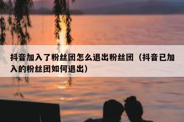 抖音加入了粉丝团怎么退出粉丝团(抖音已加入的粉丝团如何退出) 第1张 抖音加入了粉丝团怎么退出粉丝团(抖音已加入的粉丝团如何退出) 第1张