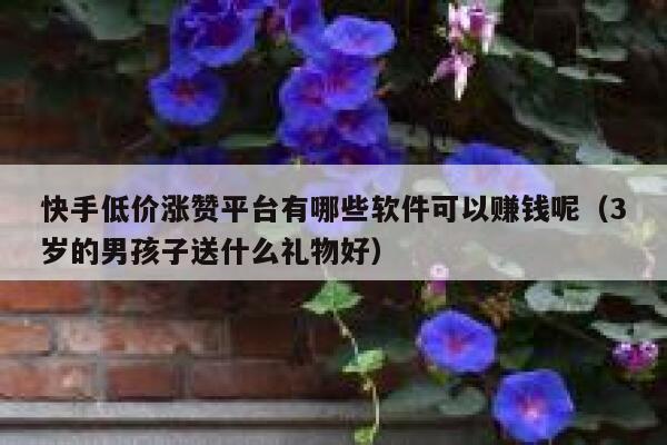 快手低价涨赞平台有哪些软件可以赚钱呢(3岁的男孩子送什么礼物好) 第1张 快手低价涨赞平台有哪些软件可以赚钱呢(3岁的男孩子送什么礼物好) 第1张