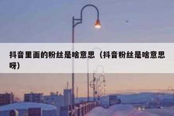 抖音里面的粉丝是啥意思（抖音粉丝是啥意思呀） 第1张