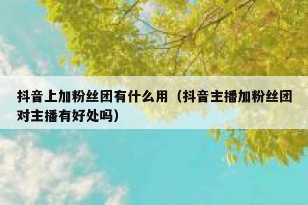 抖音上加粉丝团有什么用(抖音主播加粉丝团对主播有好处吗) 第1张 抖音上加粉丝团有什么用(抖音主播加粉丝团对主播有好处吗) 第1张