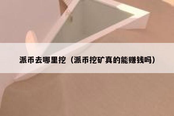 派币去哪里挖（派币挖矿真的能赚钱吗） 第1张