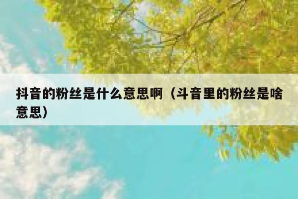 抖音的粉丝是什么意思啊（斗音里的粉丝是啥意思） 第1张
