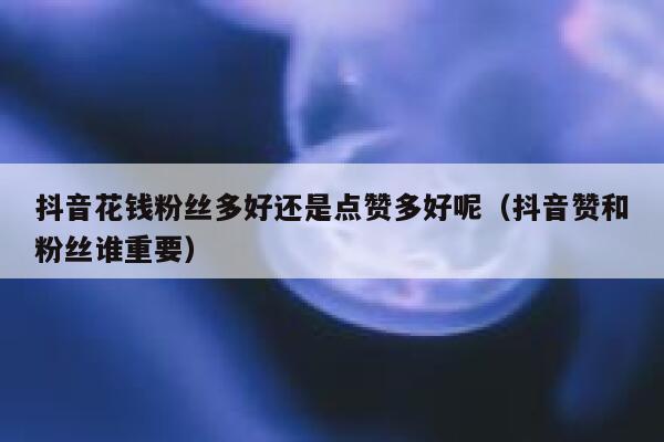 抖音花钱粉丝多好还是点赞多好呢(抖音赞和粉丝谁重要) 第1张 抖音花钱粉丝多好还是点赞多好呢(抖音赞和粉丝谁重要) 第1张