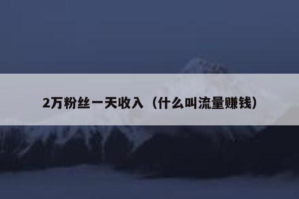 2万粉丝一天收入(什么叫流量赚钱) 第1张 2万粉丝一天收入(什么叫流量赚钱) 第1张